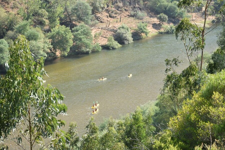 Coimbra: Mondego River Kayaking Tour - Guides, Languages, and On-Water Help That Actually Matters
