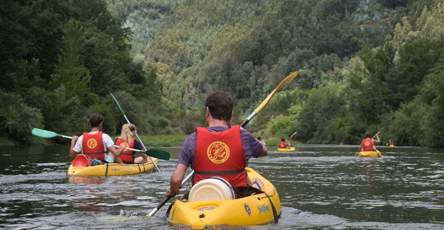 Coimbra: Mondego River Kayaking Tour - Getting Started in Penacova: Coach Ride, Parking, and a Safety Briefing