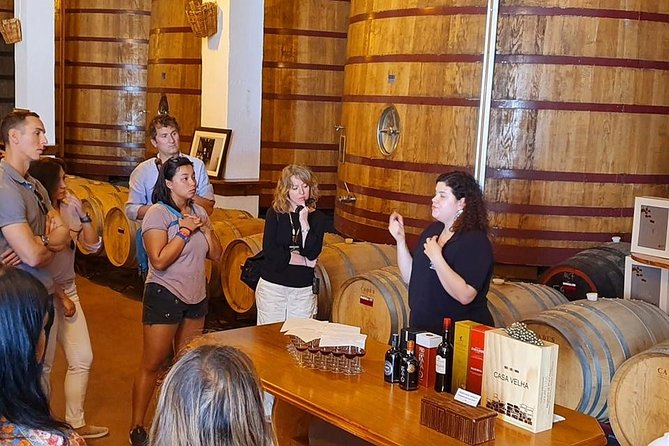 Complete Douro Valley Wine Tour with Lunch, Wine Tastings and River Cruise - Lunch with Douro red or white pairing