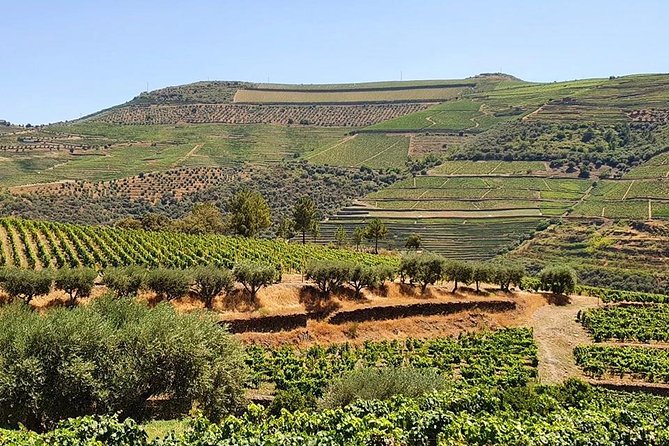 Complete Douro Valley Wine Tour with Lunch, Wine Tastings and River Cruise - Pinhão and the 50-minute Rebelo boat cruise