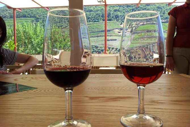 Complete Douro Valley Wine Tour with Lunch, Wine Tastings and River Cruise - National Road 222 driving, the famous viewpoints from the bus