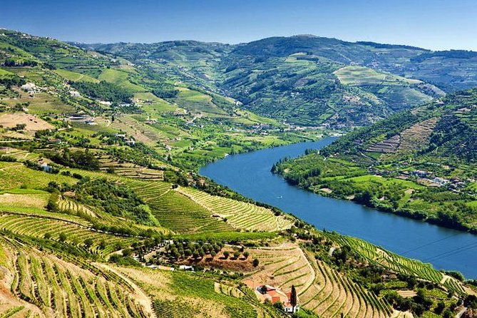 Complete Douro Valley Wine Tour with Lunch, Wine Tastings and River Cruise - The Folgosa winery stop for the final tasting