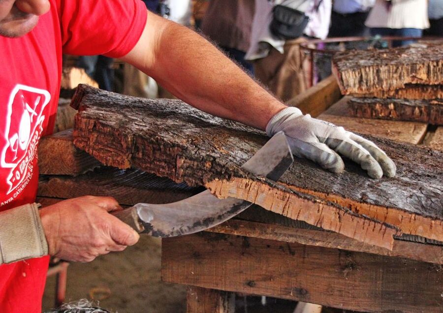 Cork Factory Tour - Key things that make this cork tour worth your time