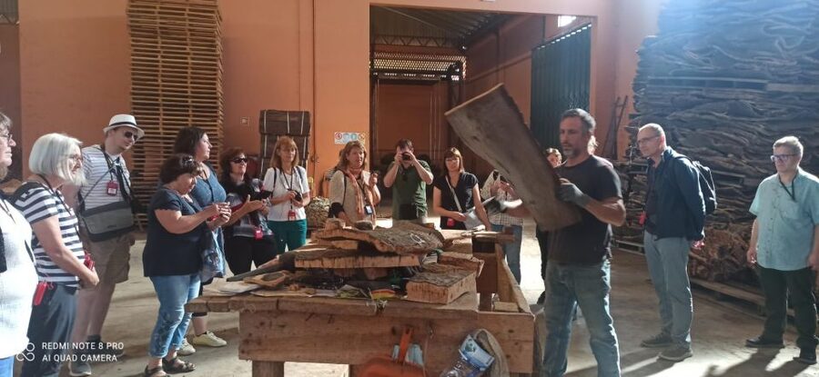 Cork Factory Tour - Why the Algarve is a smart place for a cork factory tour