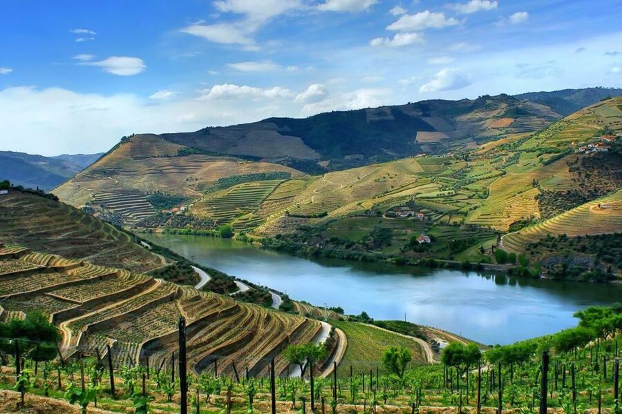 Day Cruise from Porto to Pinhão with Breakfast and Lunch - Boat comfort, seating, and how to get the best views