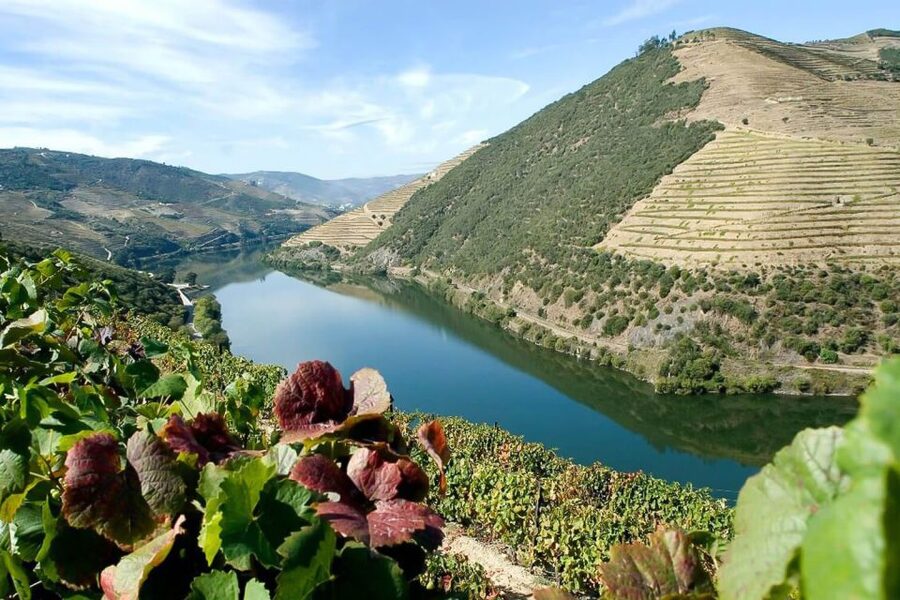Day Cruise from Porto to Pinhão with Breakfast and Lunch - Price and value: what $123 buys you for a full Douro day
