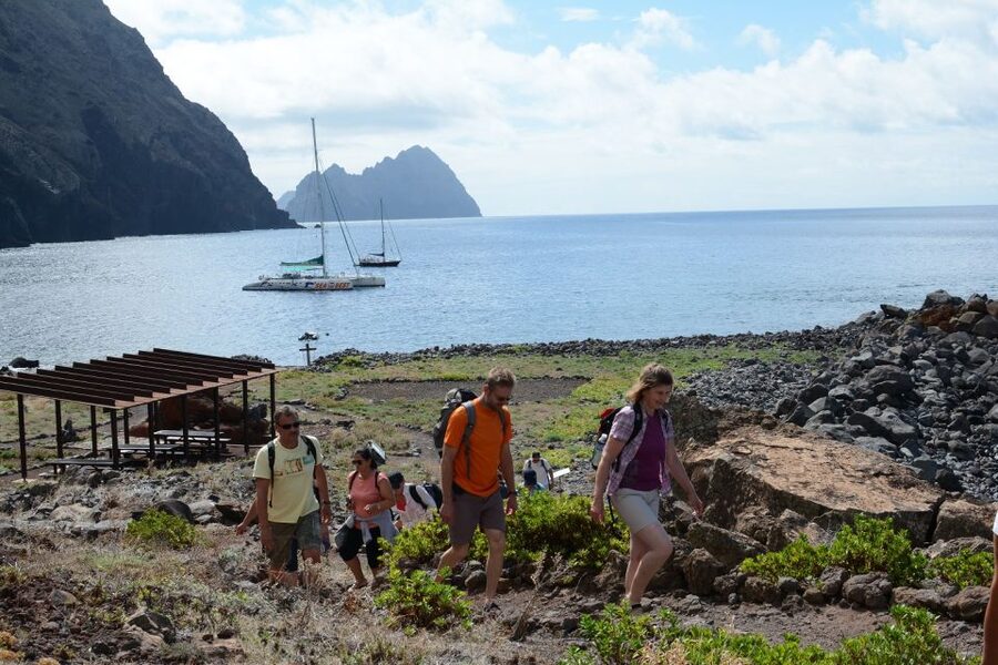 Desertas Islands Full-Day Catamaran Trip from Funchal - Sailing the South Coast: Views, Waves, and Wildlife Odds