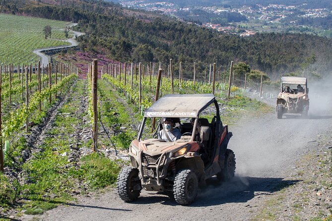 Dirt and Dust Tour by Oporto Buggy - Castromil’s old gold mines: why this stop feels different from pure scenery