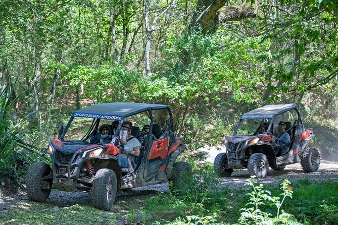 Dirt and Dust Tour by Oporto Buggy - Group size, language, and what that means for your experience