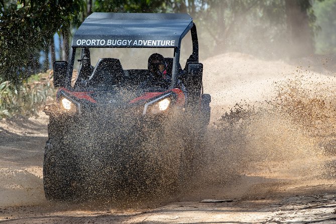 Dirt and Dust Tour by Oporto Buggy - The Portugal rally shakedown section: thrill without guessing what you’re doing