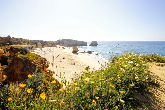 Discover Albufeira in a Tuk Tuk - How a Tuk Tuk Changes the Albufeira Game