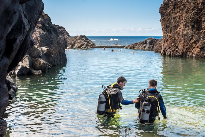 Diving in the Madeira Aquarium - Start at the Aquarium: species briefing plus a technical-area tour