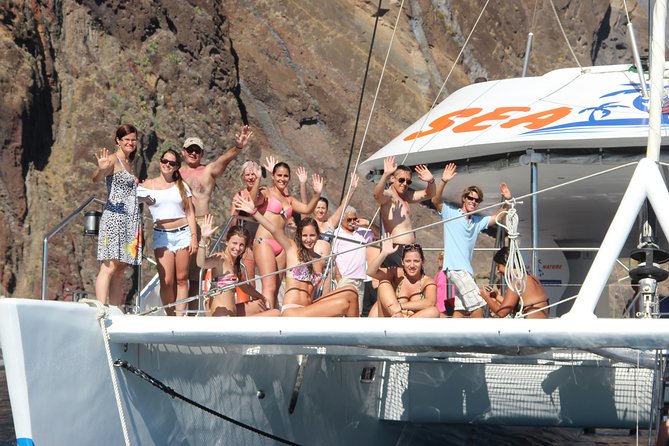 Dolphin and Whale Watching Catamaran Cruise from Funchal - The Cabo Girão swim option: the highlight if the sea allows it