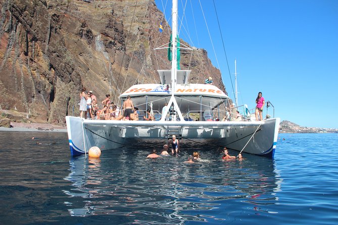 Dolphin and Whale Watching Catamaran Cruise from Funchal - Who this cruise suits best, and who should think twice