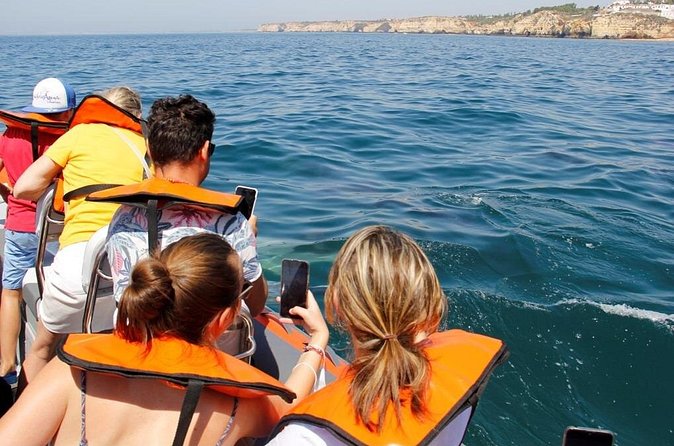 Dolphin and Whale Watching in Lagos - A 1.5-hour experience built around real searching