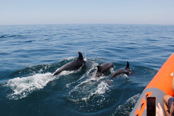 Dolphin and Whale Watching in Lagos - The late 11:30am start, and why it feels better