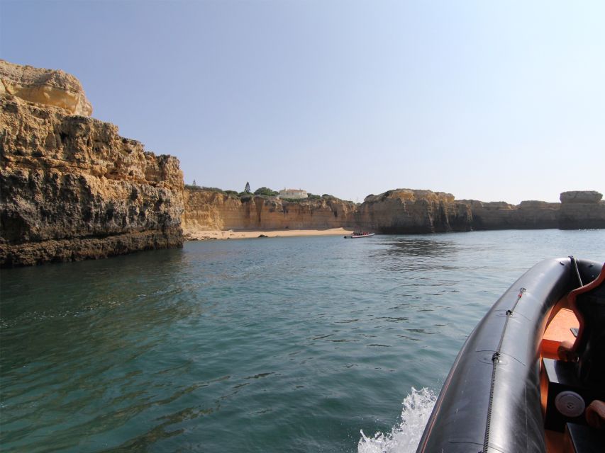 Dolphin Safari and Cave Tour in Vilamoura - Why this Algarve dolphin safari feels worth your time