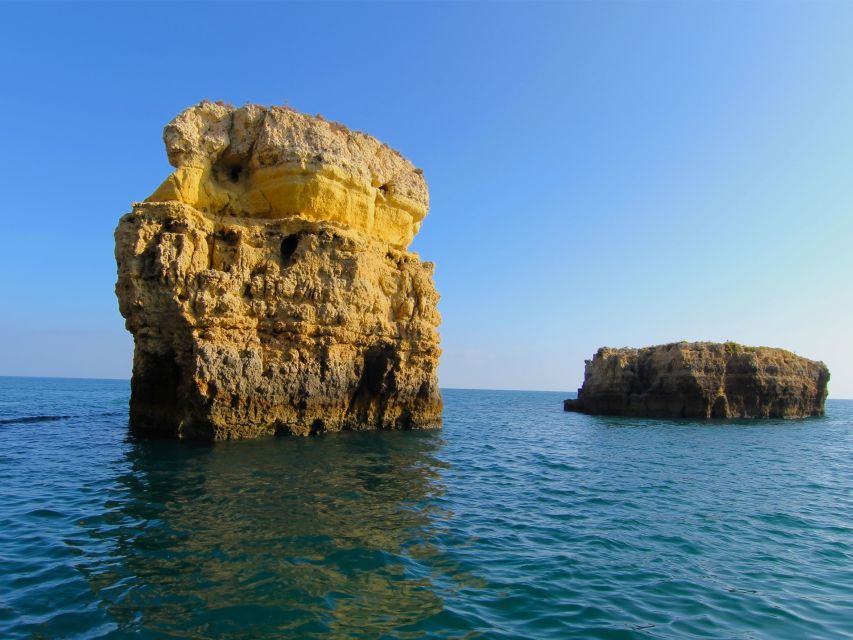 Dolphin Safari and Cave Tour in Vilamoura - The 2-hour timing game: fitting it into your day in Vilamoura