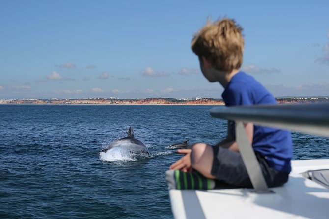 Dolphin Search - Dolphin Quest - Key points before you go