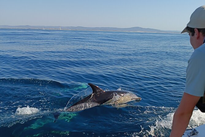 Dolphin Watching + 2 Islands Tour - From Faro - Key things to know before you go