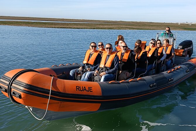 Dolphin Watching + 2 Islands Tour - From Faro - Starting in Faro, then changing habitats quickly