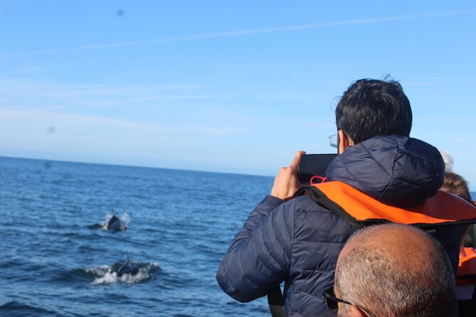 Dolphin Watching + 2 Islands Tour - From Faro - Ria Formosa channels: where the guide’s ecology talk makes sense