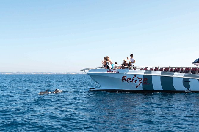 Dolphin Watching and Cave Boat Cruise from Albufeira - Key highlights worth planning around