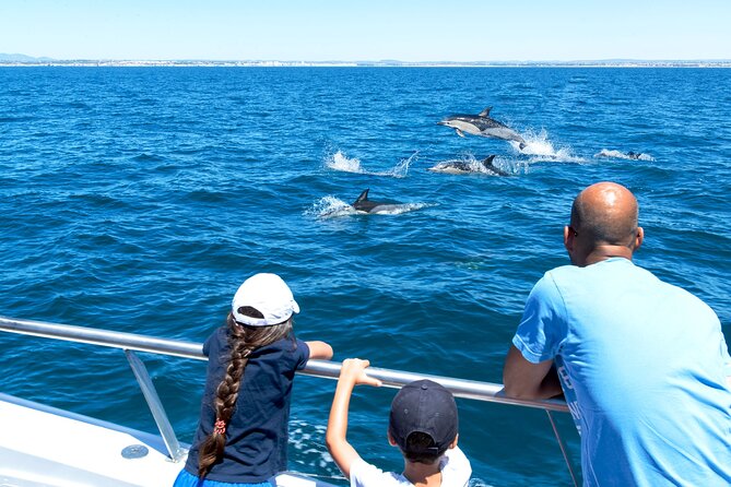 Dolphin Watching and Cave Boat Cruise from Albufeira - Albufeira to sea: how this 2.5-hour cruise really works