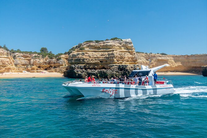 Dolphin Watching and Cave Boat Cruise from Albufeira - Dolphin watching in the wild: two species, real behavior, real uncertainty
