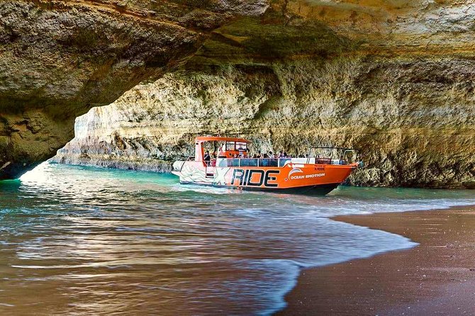 Dolphin Watching and Caves Cruise - Seasickness, cold spray, and comfort tips that actually help