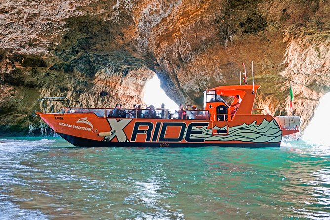Dolphin Watching and Caves Cruise - Dolphins in the wild: how to set expectations and get the best odds