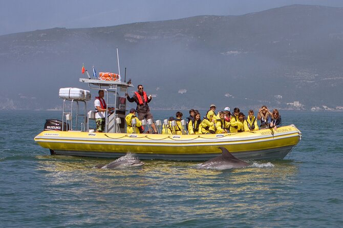 Dolphin Watching at the Arrabida (Lisbon region) - Lisbon meeting point and transfer to Sesimbra: how to plan your morning