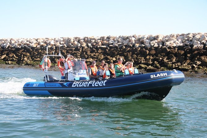 Dolphin Watching from Lagos with Marine Biologists - Booking Timing and What That Means for Your Planning