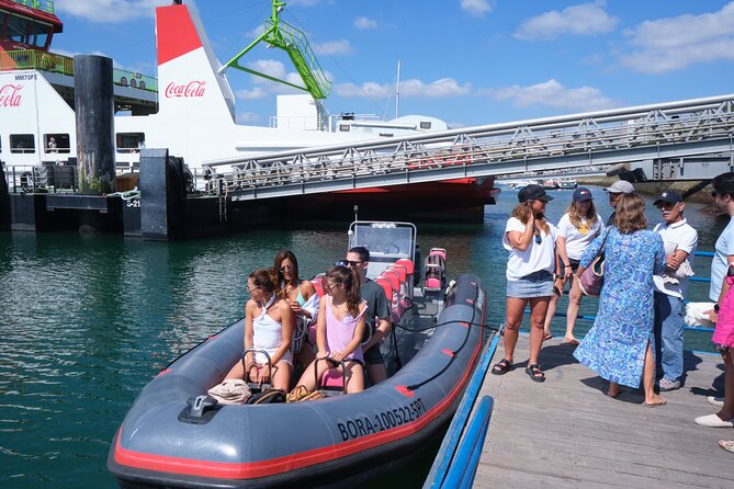 Dolphin watching in Setúbal - Price and value: what $44.76 buys you in practice