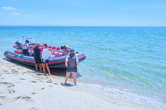 Dolphin watching in Setúbal - Alpertuche beach, Arrábida cliffs, and small caves near the waterline