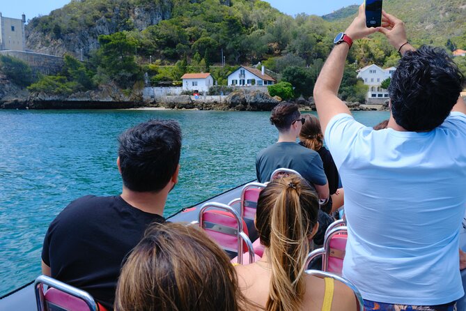 Dolphin watching in Setúbal - Bottlenose dolphins vs common dolphins: what you’re really looking for