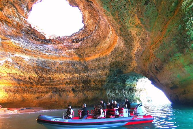 Dolphins Search and Benagil Caves from Albufeira - From Albufeira Marina to the Caves: Where the Day Starts