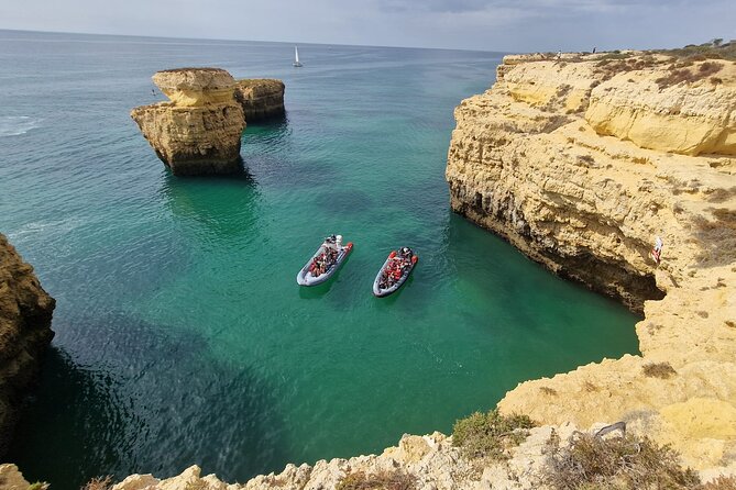 Dolphins Search and Benagil Caves from Albufeira - Timing That Works: Morning Slots for Families and Seniors