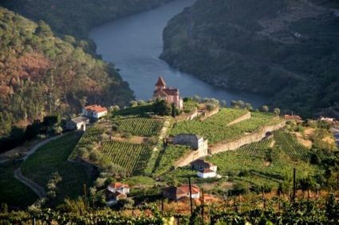 Douro Premium - Key highlights to expect on this Douro Premium day trip