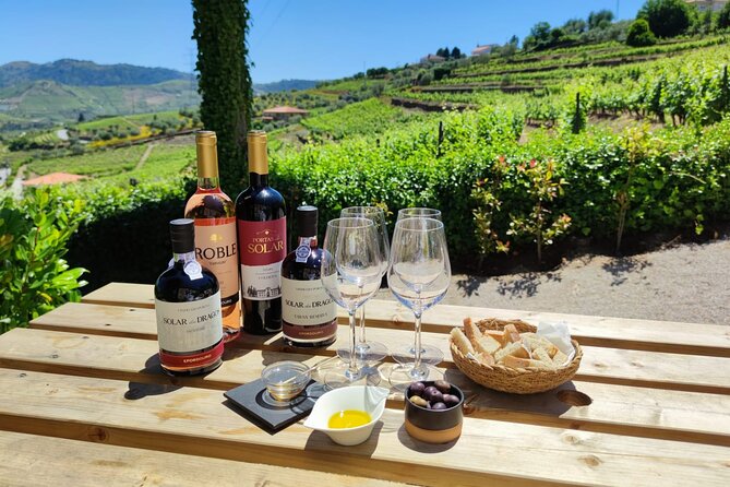 Douro Tour with Wine Tasting, River Cruise and Visit to Lamego - From Porto at 8:30 to the Douro Valley game plan