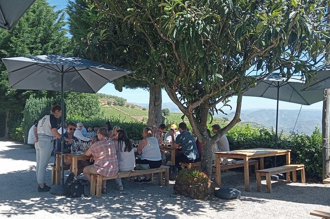 Douro Tour with Wine Tasting, River Cruise and Visit to Lamego - The drive to Lamego and why National Road 222 matters