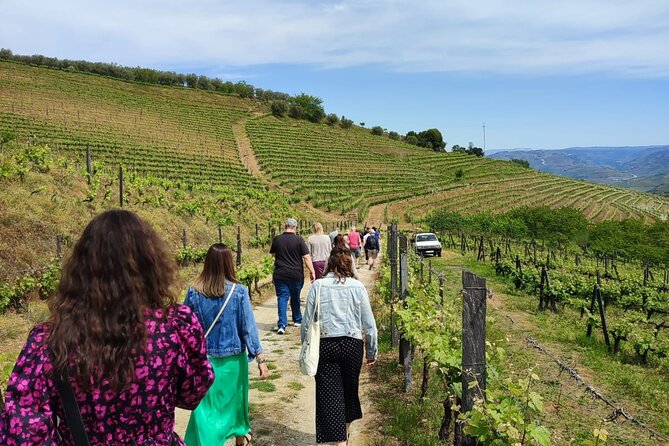 Douro Tour with Wine Tasting, River Cruise and Visit to Lamego - Pinhão: the Rabelo river cruise that slows everything down