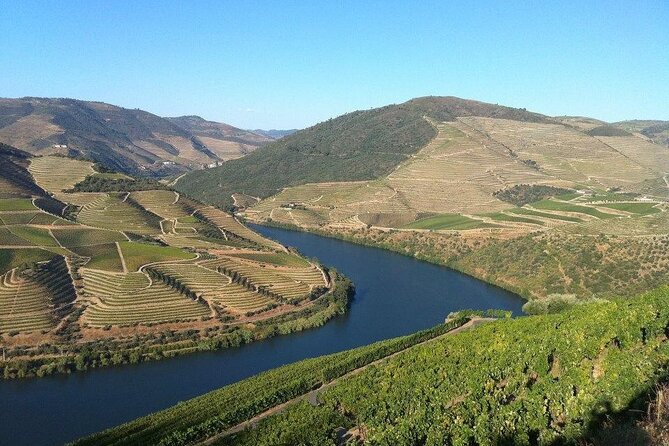 DOURO TOURS - Premium Tour - Stop 5: Second Quinta for 3 Port wines