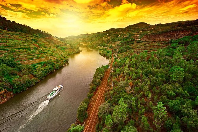 Douro Valley and Régua Panoramic Cruise with Lunch from Porto - Key highlights you will actually use