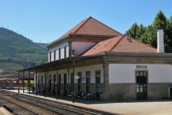 Douro Valley and Régua Panoramic Cruise with Lunch from Porto - What makes the Régua area so important for Port wine