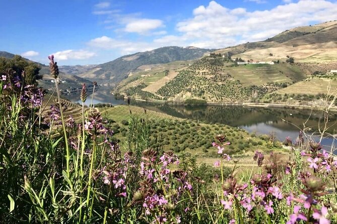 Douro Valley and Régua Panoramic Cruise with Lunch from Porto - Bus-to-boat timing, and how to avoid feeling rushed