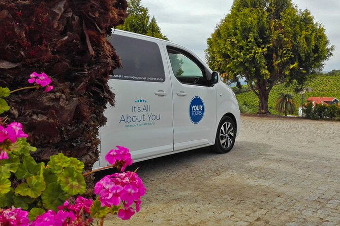Douro Valley Best-Of Private Tour – Fully Customizable Experience - Hotel Pickup In Porto, Braga, Or Guimarães, Then Straight To N222