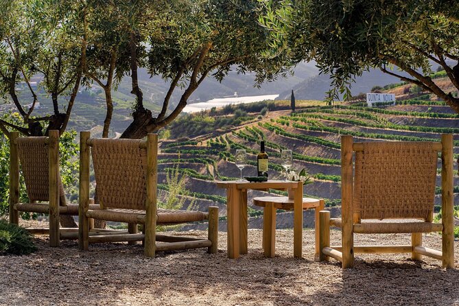 Douro Valley Best-Of Private Tour – Fully Customizable Experience - Private-Guide Value: Better Timing, Better Questions, Less Waiting