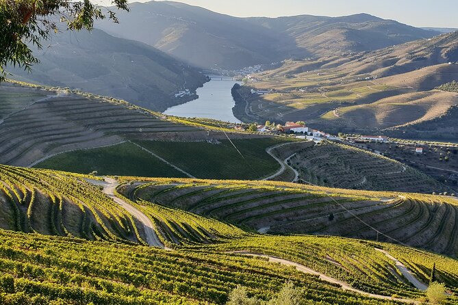 Douro Valley Best-Of Private Tour – Fully Customizable Experience - What The Add-Ons Change, Including Tastings And A Douro River Boat Trip