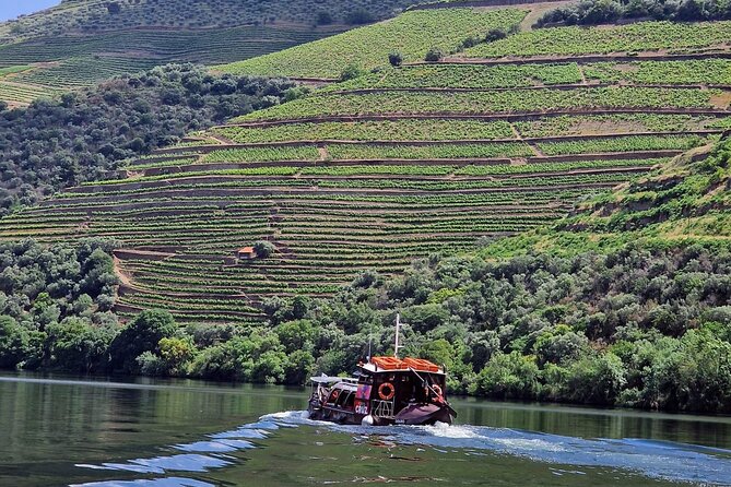 Douro Valley-Expert Guide-Boat-Lunch-Tastings-Offer wine bottle - Key highlights worth your attention